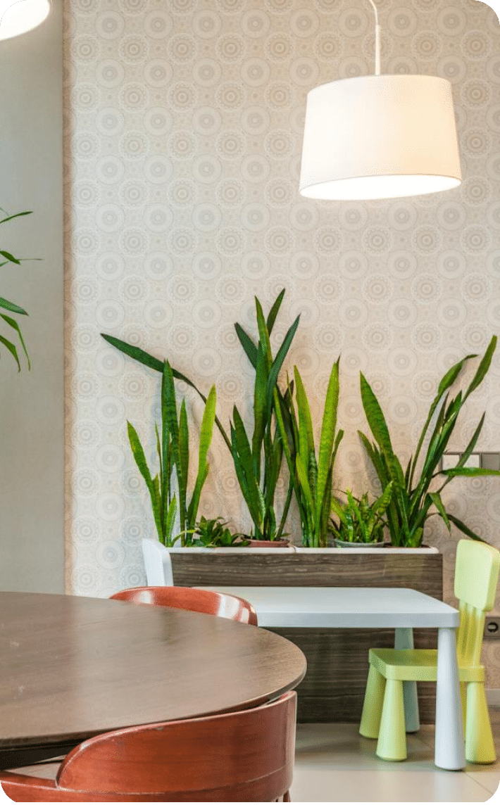 Disento Interieur